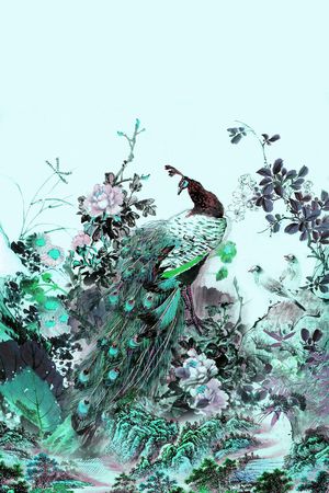 孔雀印花华亿平台图片