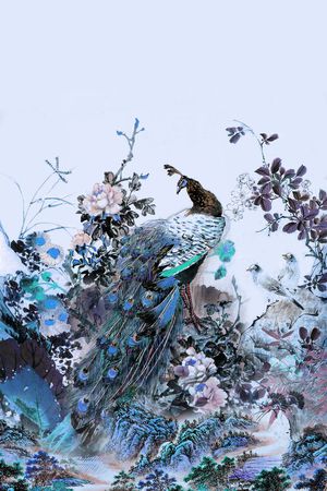 孔雀印花华亿平台图片