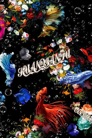 philippplein菲利普普印花华亿平台图片