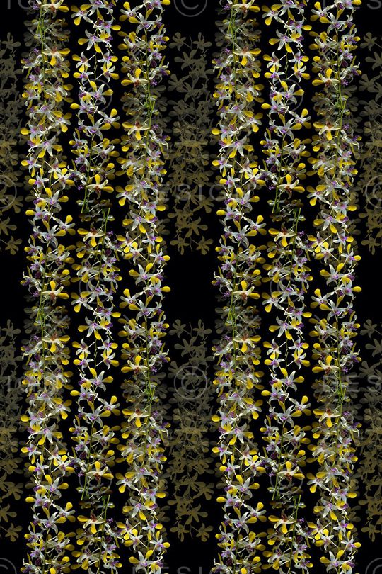 花卉组合印花华亿平台图片