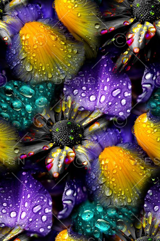 时尚印花华亿平台图片