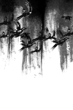 荒漠孤鸟印花华亿平台图片