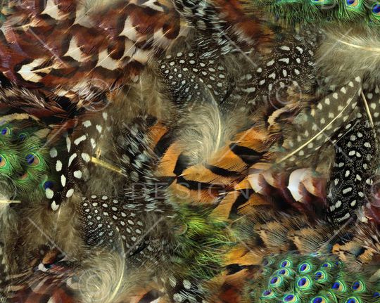 拼接印花华亿平台图片