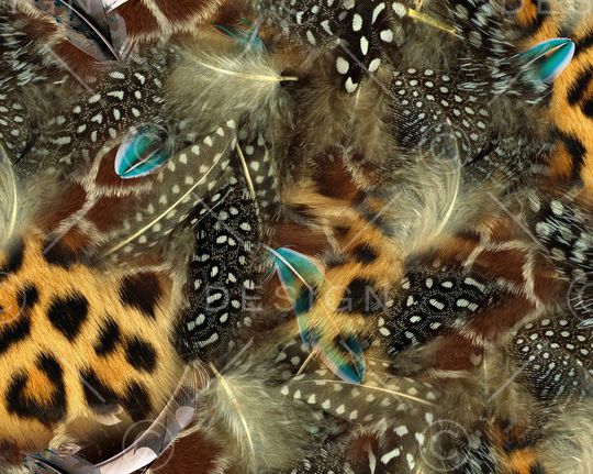 拼接印花华亿平台图片