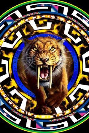 givenchy纪梵希印花华亿平台图片