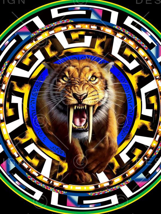 givenchy纪梵希印花华亿平台图片