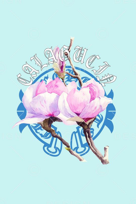 玉兰花印花华亿平台图片