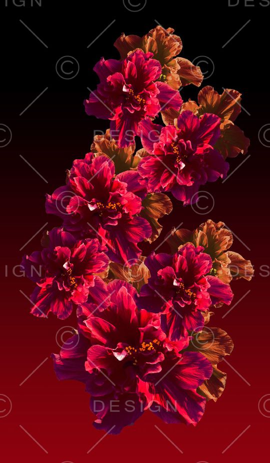 酒红印花华亿平台图片