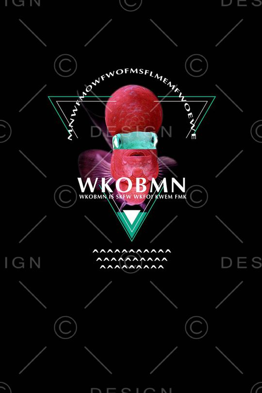 动物鱼、英文、几何线框、男装T恤卫衣定位印花华亿平台图片