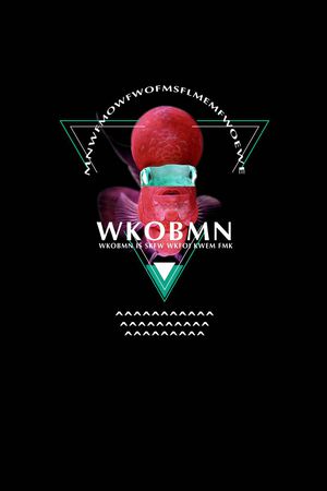 动物鱼、英文、几何线框、男装T恤卫衣定位印花华亿平台图片