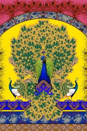 Dolce印花华亿平台图片