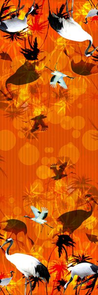 羽毛印花华亿平台图片