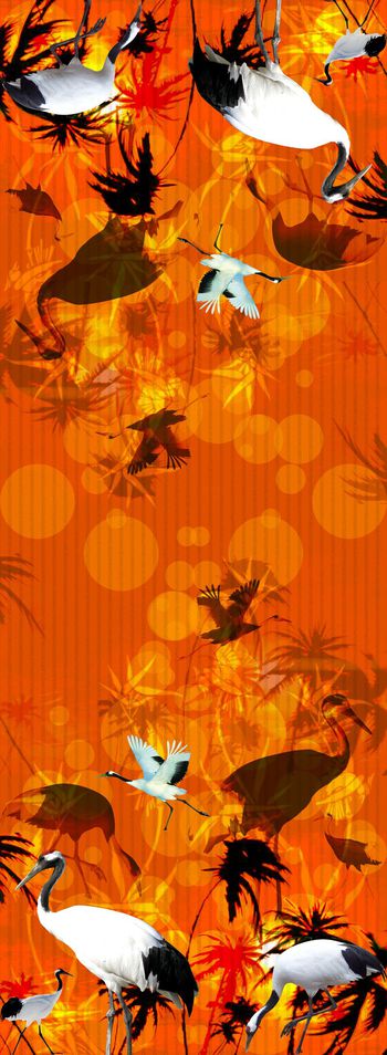 羽毛印花华亿平台图片