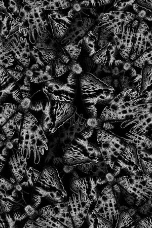 蝴蝶印花华亿平台图片