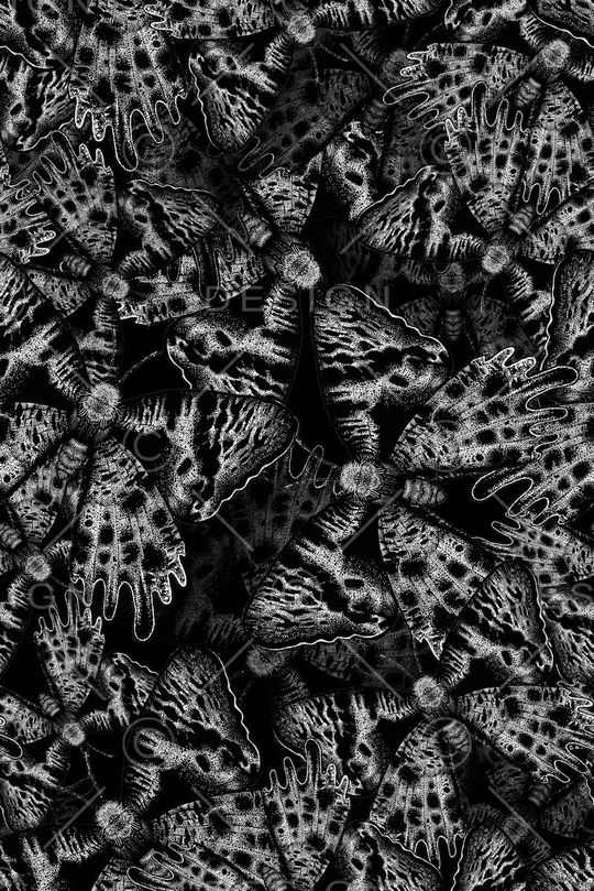 蝴蝶印花华亿平台图片