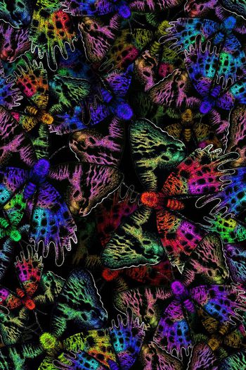 694767-FLZ-8-132....