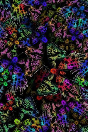 蝴蝶印花华亿平台图片