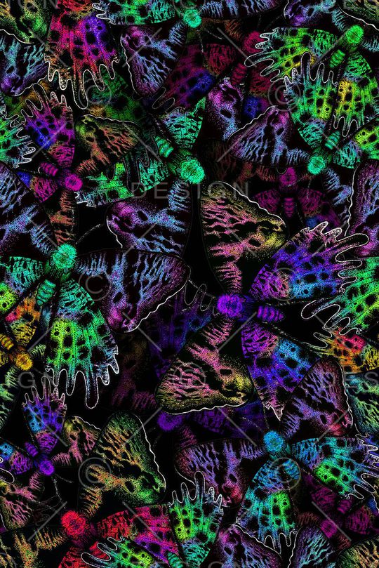 蝴蝶印花华亿平台图片