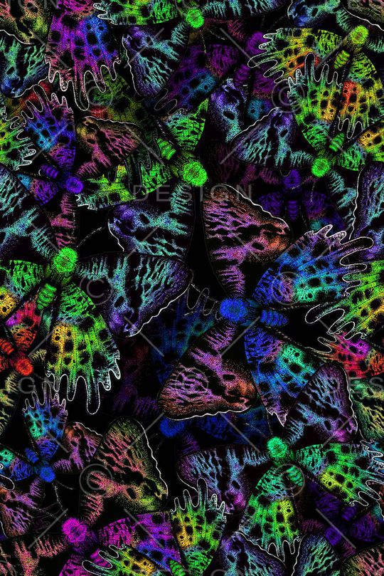 蝴蝶印花华亿平台图片