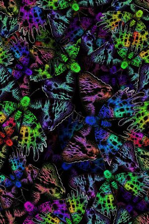 蝴蝶印花华亿平台图片