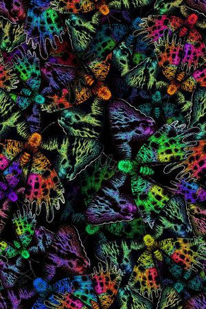 蝴蝶印花华亿平台图片