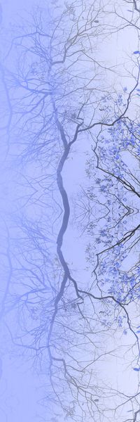 枝条印花华亿平台图片