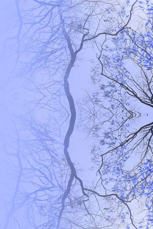 枝条印花华亿平台图片