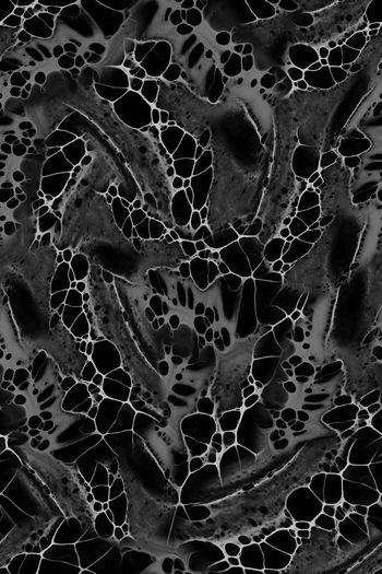 694812-FLZ-8-138....