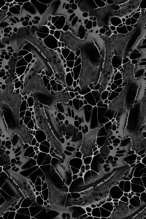 女装印花华亿平台图片