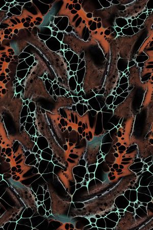 女装印花华亿平台图片