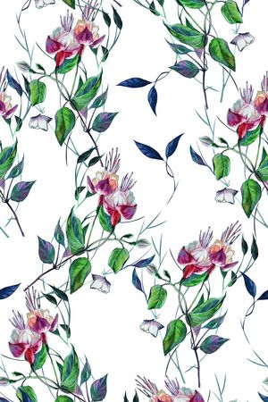 兰花印花华亿平台图片