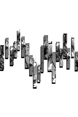 NEIL印花华亿平台图片