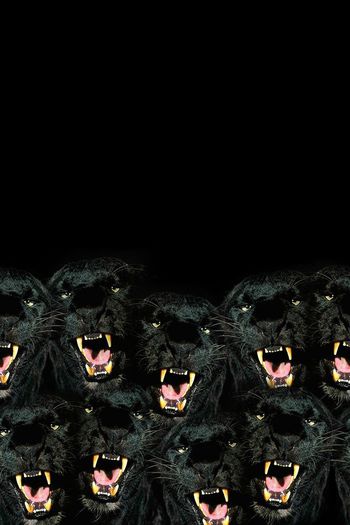 动物纹印花华亿平台图片