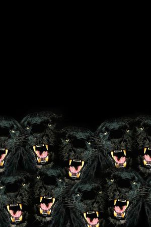 动物纹印花华亿平台图片