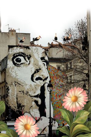 风景印花华亿平台图片