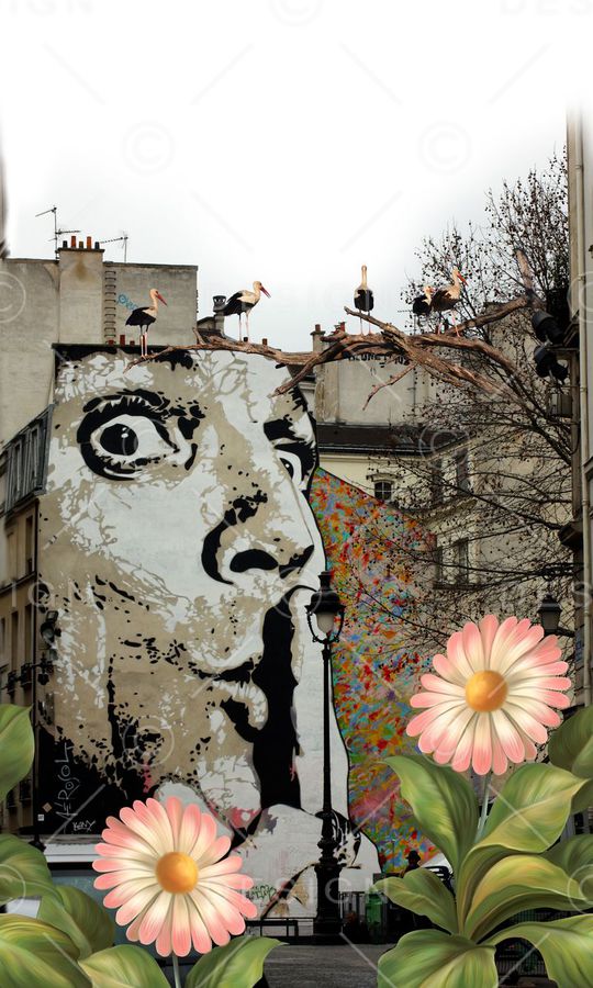 风景印花华亿平台图片