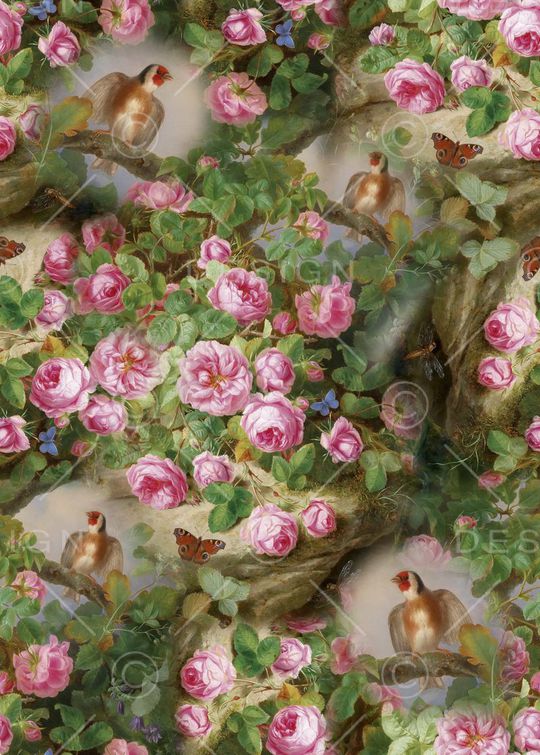 花鸟印花华亿平台图片