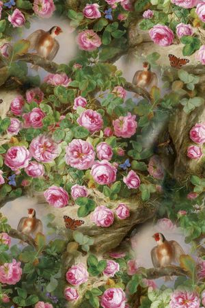 花鸟印花华亿平台图片