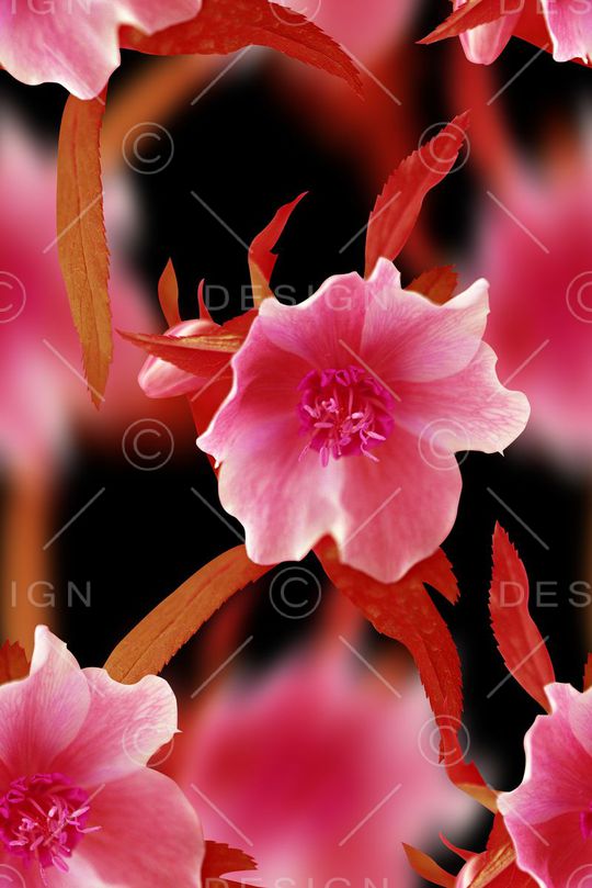 抽象渐变纹理花卉印花印花华亿平台图片