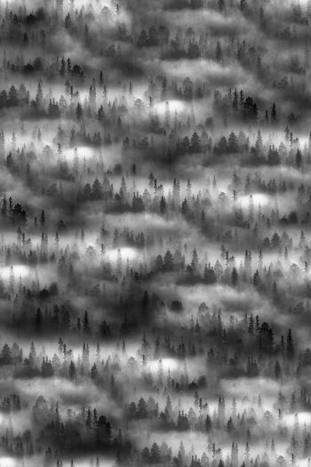 695192-FLZ-8-155....