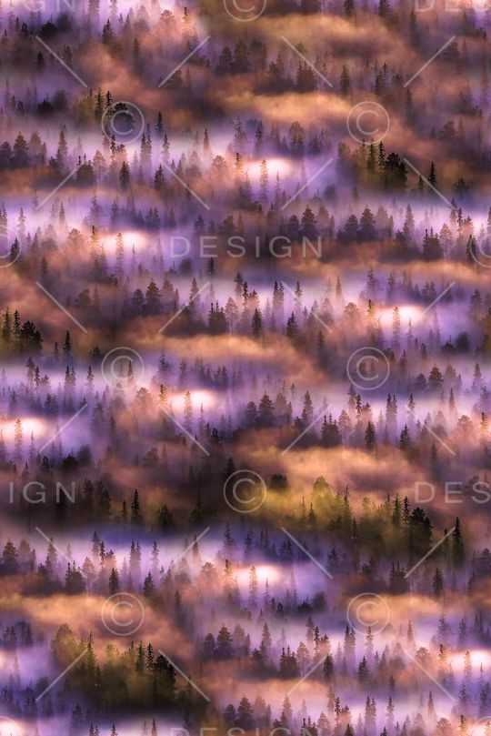 朦胧印花华亿平台图片