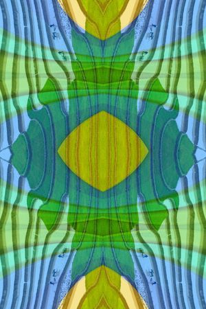 稻田印花华亿平台图片