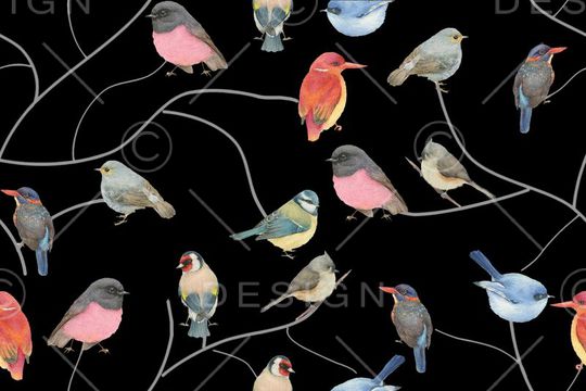 羽毛印花华亿平台图片