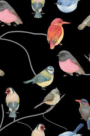 羽毛印花华亿平台图片