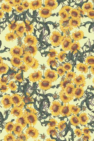 向日葵印花华亿平台图片