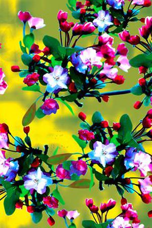 花朵印花华亿平台图片