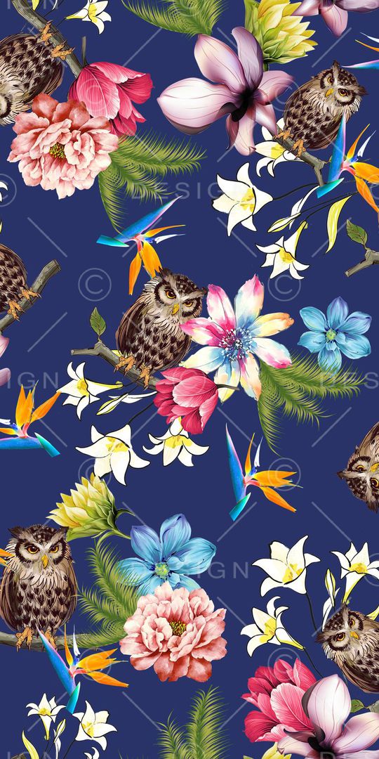 猫头鹰印花华亿平台图片