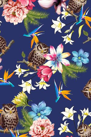 猫头鹰印花华亿平台图片