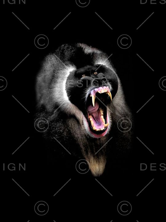 狒狒印花华亿平台图片