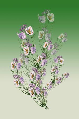 定位花卉印花华亿平台图片